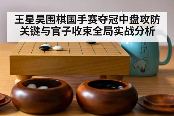王星昊围棋国手赛夺冠中盘攻防关键与官子收束全局实战分析 - PG