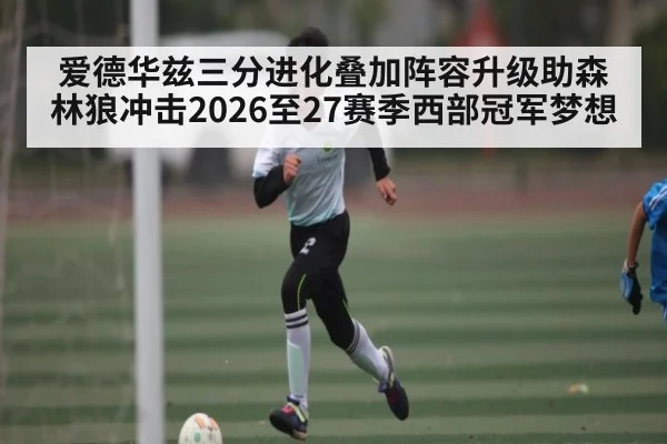 爱德华兹三分进化叠加阵容升级助森林狼冲击2026至27赛季西部冠军梦想